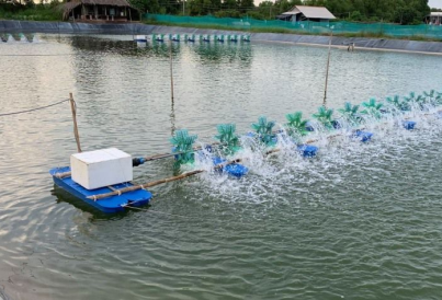máy bơm khu nuôi tôm